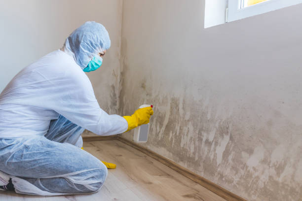 Crawl Space Mold Remediation treatment of floor joists in Walpole
